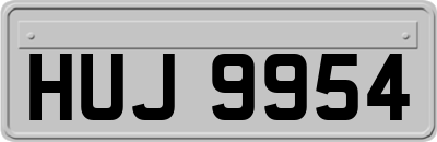 HUJ9954