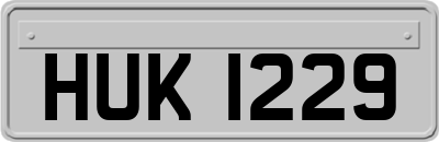 HUK1229