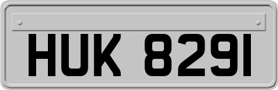 HUK8291