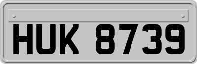 HUK8739