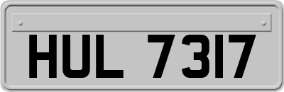 HUL7317