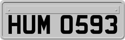 HUM0593