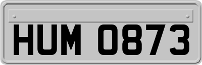 HUM0873