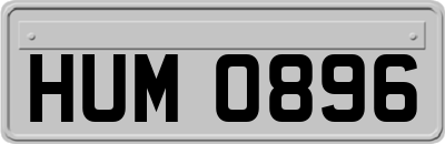 HUM0896