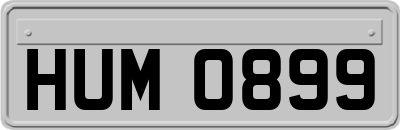 HUM0899