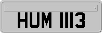 HUM1113