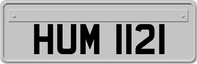 HUM1121