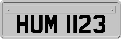 HUM1123