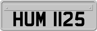 HUM1125