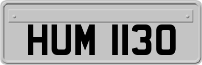 HUM1130