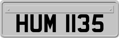 HUM1135