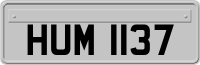 HUM1137