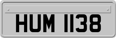 HUM1138