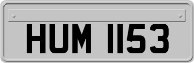 HUM1153