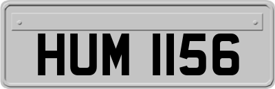 HUM1156