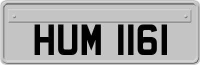 HUM1161