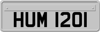 HUM1201