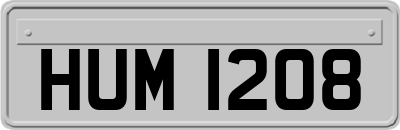 HUM1208