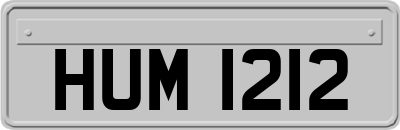 HUM1212