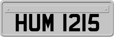 HUM1215