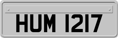 HUM1217