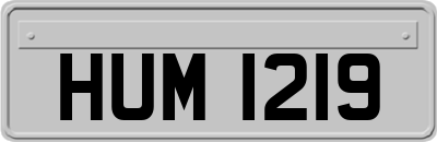 HUM1219