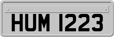 HUM1223