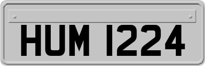 HUM1224