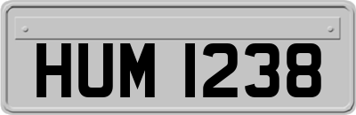 HUM1238