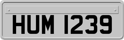 HUM1239