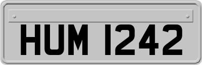 HUM1242