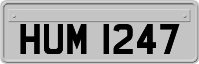 HUM1247