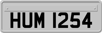 HUM1254