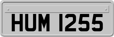 HUM1255