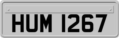 HUM1267