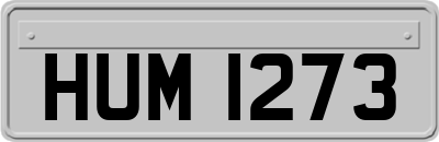 HUM1273