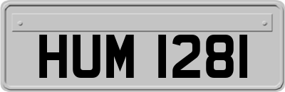 HUM1281