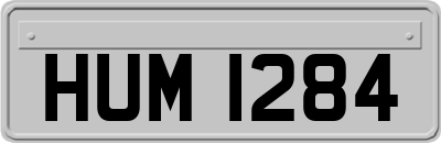 HUM1284