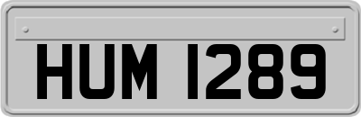 HUM1289