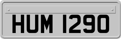 HUM1290