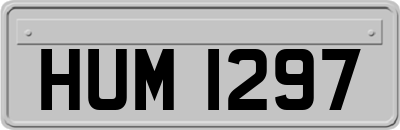 HUM1297