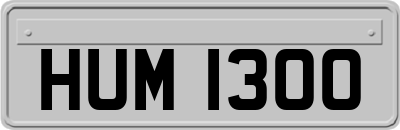 HUM1300