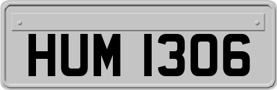 HUM1306