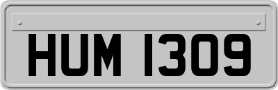 HUM1309