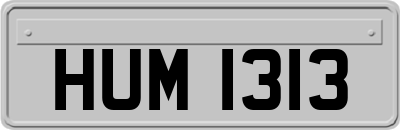 HUM1313