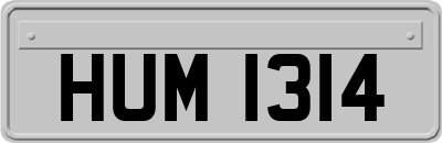 HUM1314