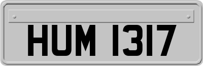 HUM1317