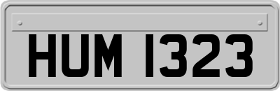 HUM1323