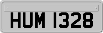 HUM1328