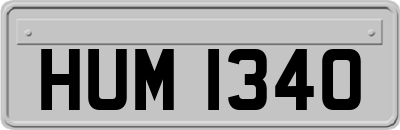 HUM1340